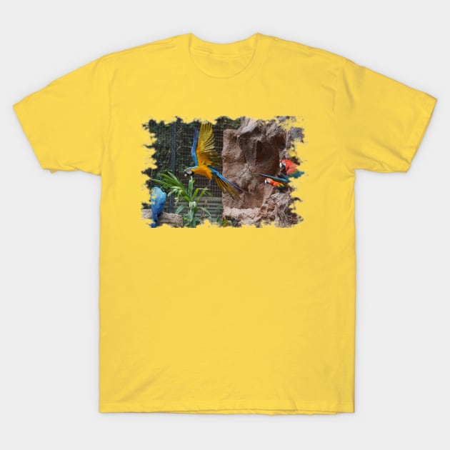 Macaw Parrot T-Shirt by Nicole Gath Photography